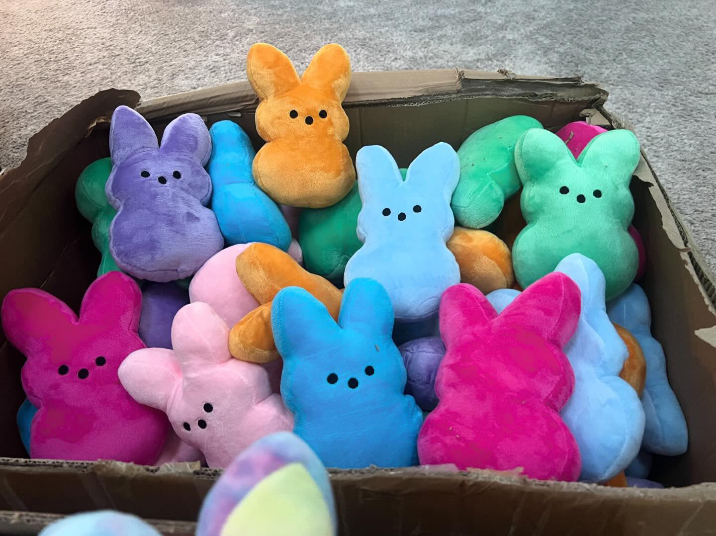 Stitch and peep Easter set