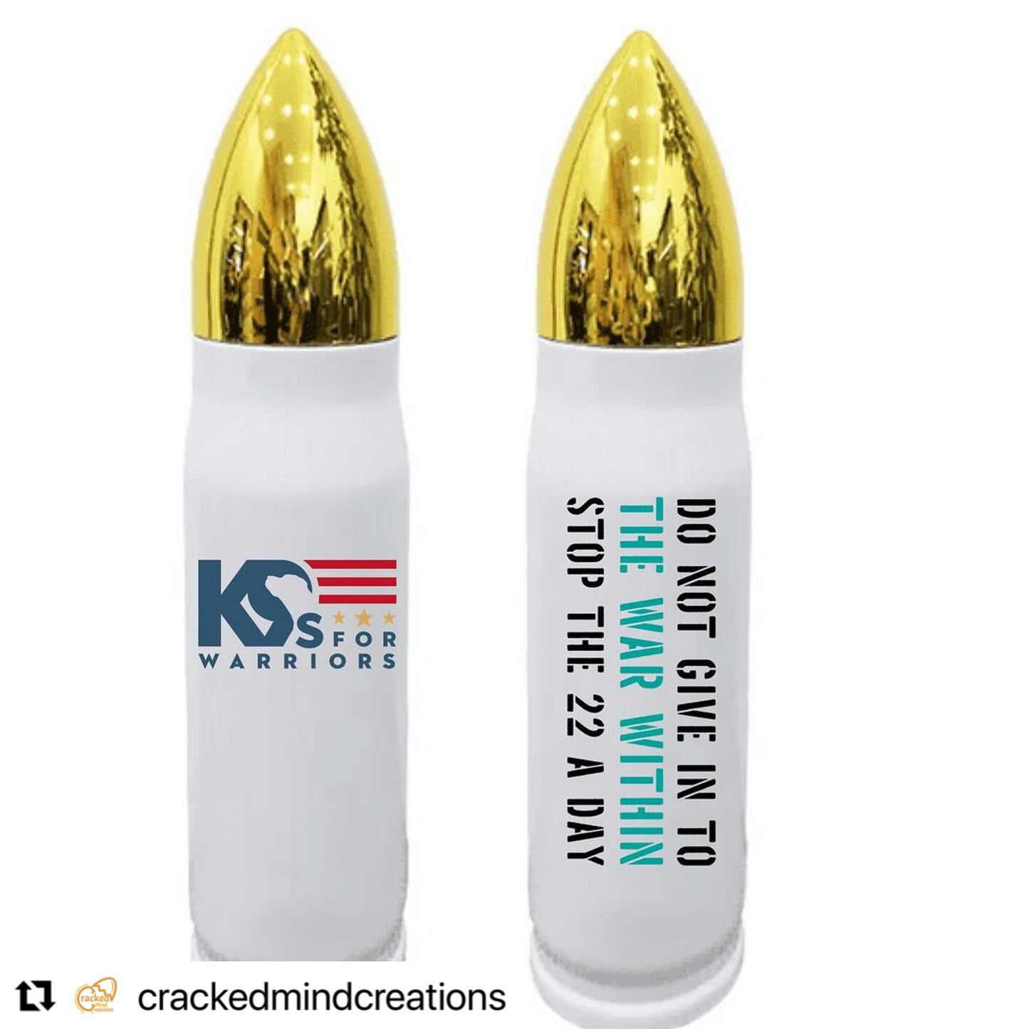 Bullet style thermos - 22 mental health