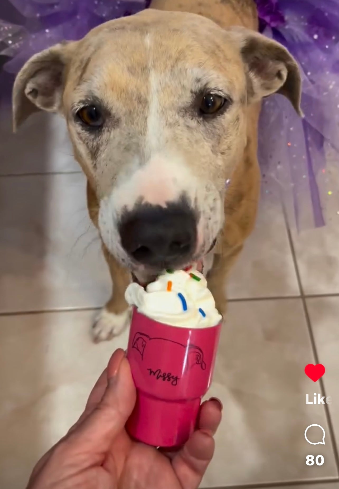 3oz Custom stainless insulated mini tumbler w lid and metal straw