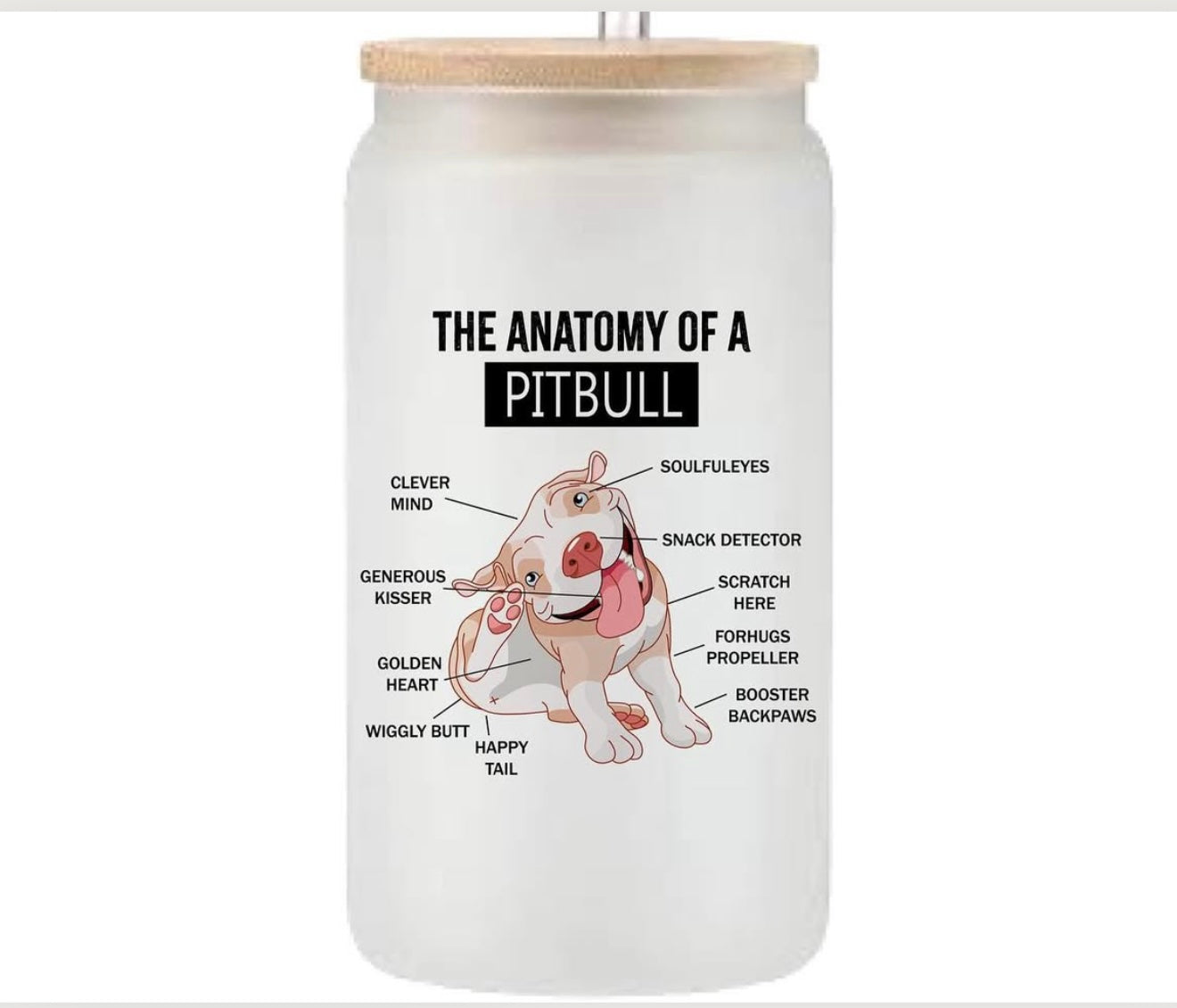 Anatomy of Pitbull 16oz glass