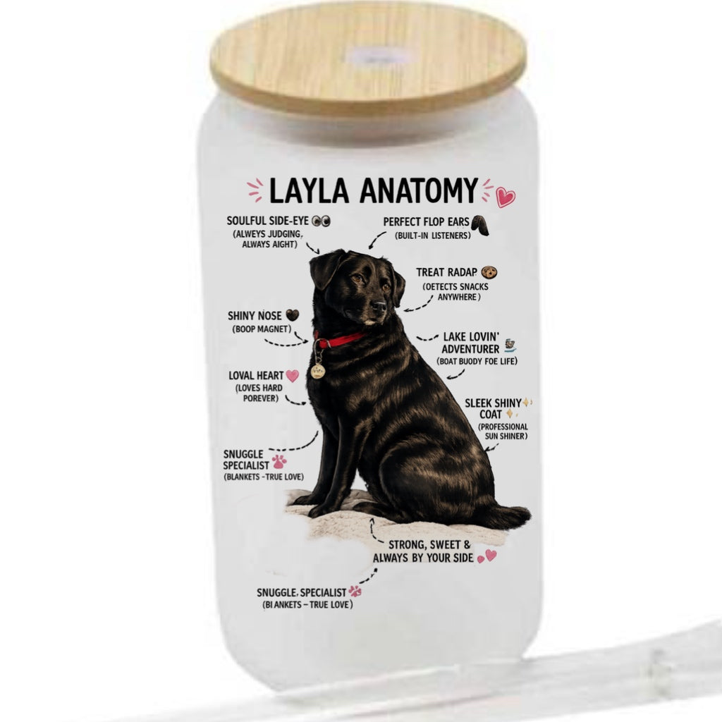 Your dogs anatomy