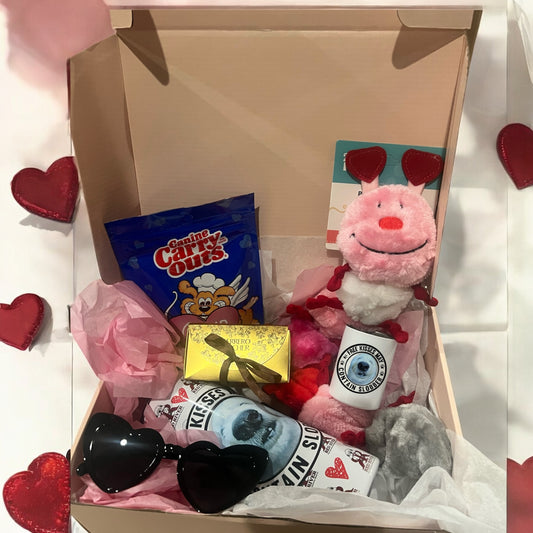Valentine boxes for Dog mom & dog