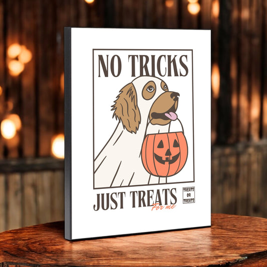 10 x 8 no tricks wood sign