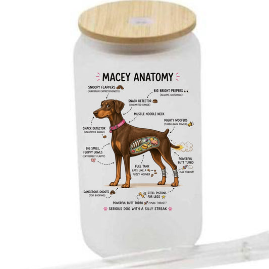 Your dogs anatomy